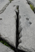 Sheshymore Limestone with classic kharstified exposures of the disolving fracture margins, Grikes, of tabular blocks of limestone pavement, Clints. Widened driven by post glacial disolution (McNamara, & Hennessy, 2010). Variscan folding initiated the fractures (Coller, 1984).